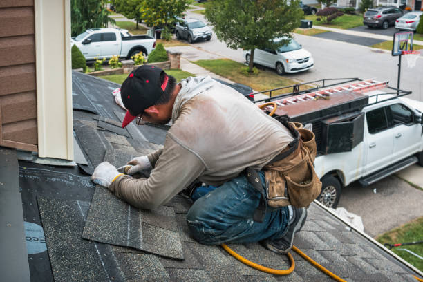 Professional Roof Replacement technician working in Edgar, WI
